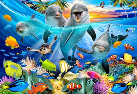 Dolfijnen poster Sealife