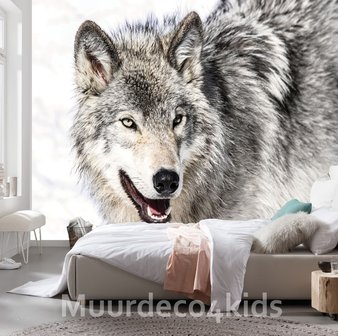 Grijze wolf fotobehang