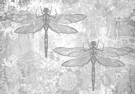 Dragonfly behang grijs beton