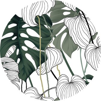 Behangcirkel Monstera