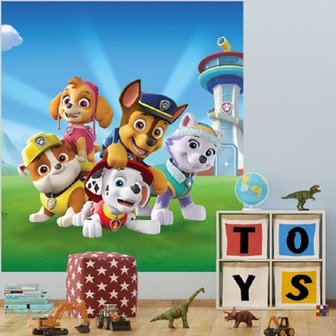 Paw Patrol poster behang M