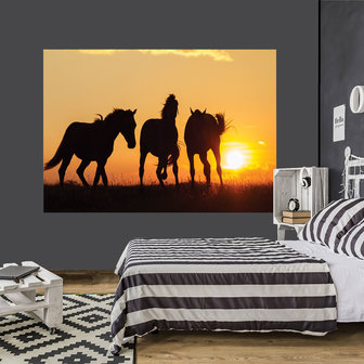 Paarden fotobehang Sunset V2