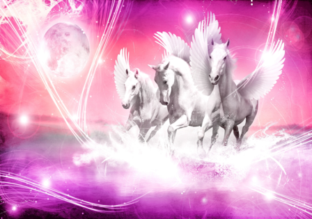 Pegasus vlies fotobehang roze AANBIEDING