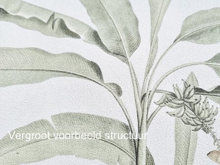 Aquarel behang Jungledieren VIN020