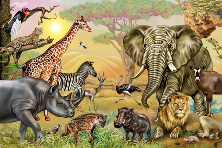 Jungledieren behang Afrikaanse Savanne 