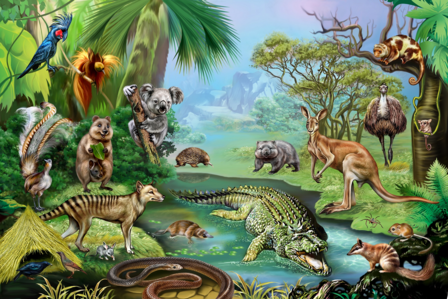 Jungledieren behang Australi&euml;