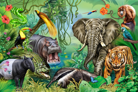 Jungledieren behang Regenwoud