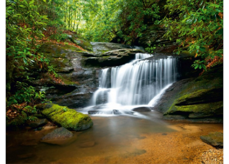 Waterval in bos fotobehang XL