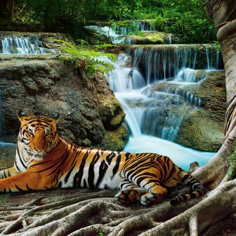 Tijger bij waterval fotobehang