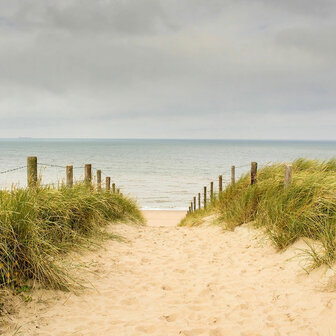 Strand fotobehang Calming Seascape