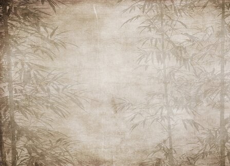 GEHELE AFBEELDING Vintage fotobehang Bamboo Forest XL