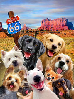 Honden fotobehang Route 66 Selfie