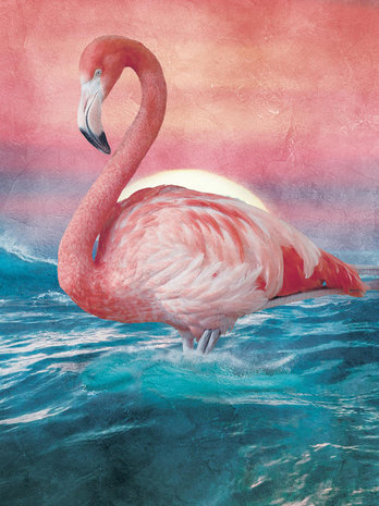 Grote Flamingo behang L1