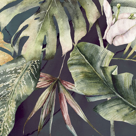 Botanisch behang Monstera