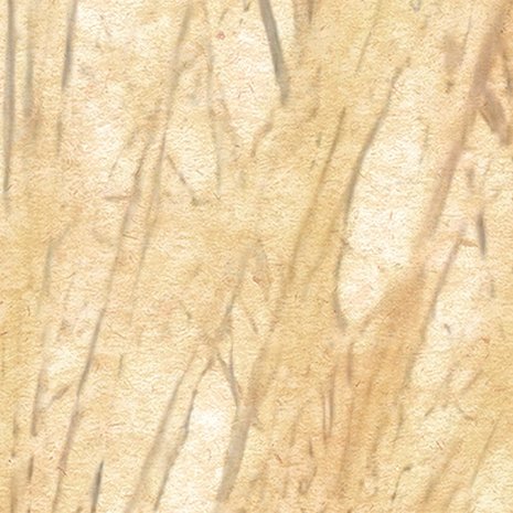 detail Dune grass