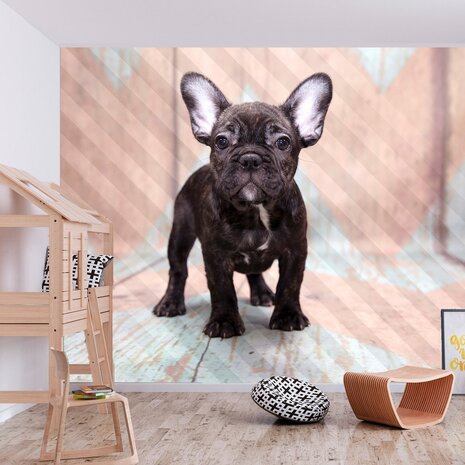 Honden fotobehang Franse Bulldog pup kinderkamer