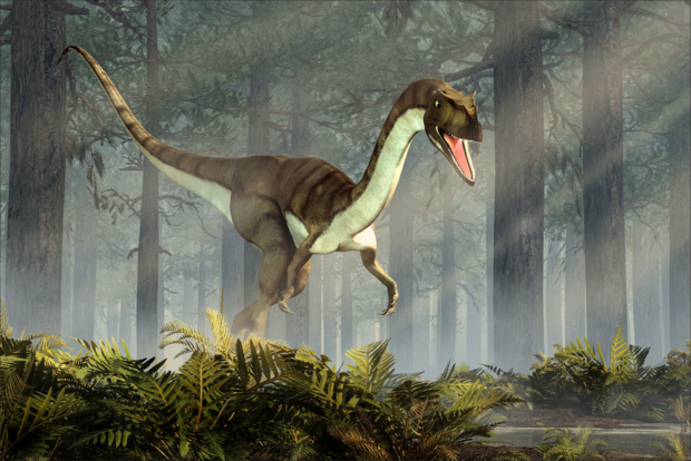 Dinosaurus fotobehang Coelophysis VINYL