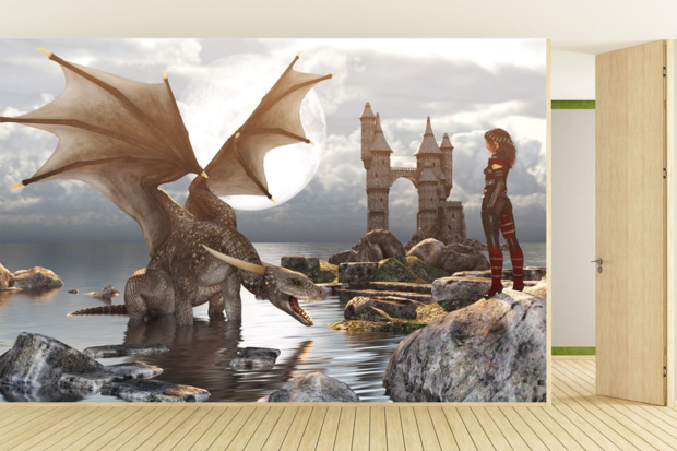 Dragon Island VINYL fotobehang