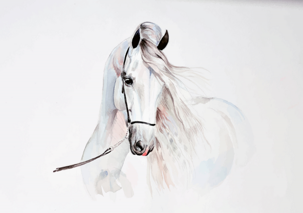 Paarden behang Aquarel paard II