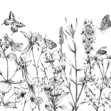 Zwart wit behang Butterfly Field
