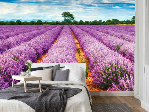 Lavendel behang Provence