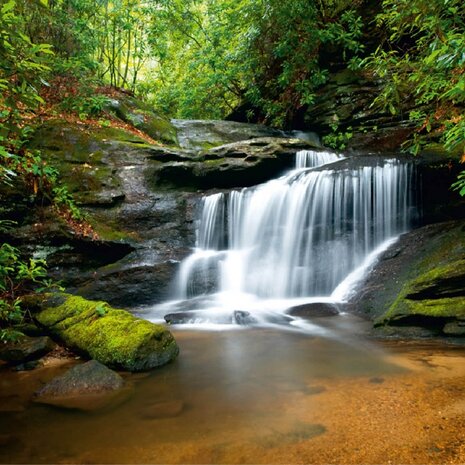 Waterval in bos fotobehang XL