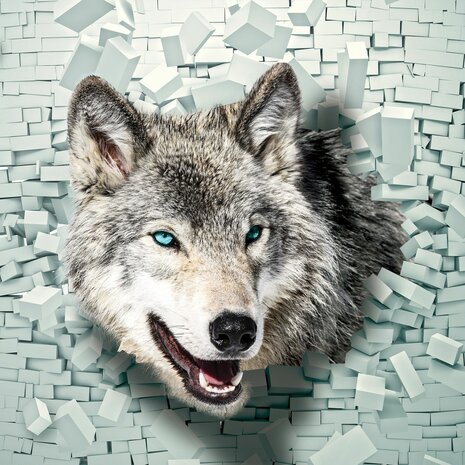 3D fotobehang Wolf door muur