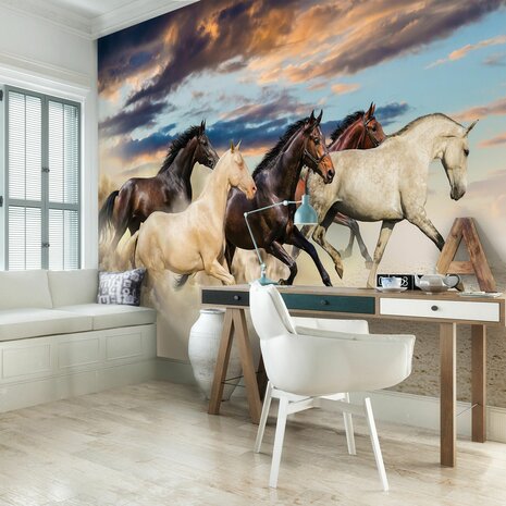 Paarden fotobehang In galop