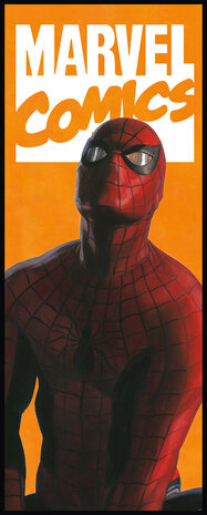 Spiderman behang Comic