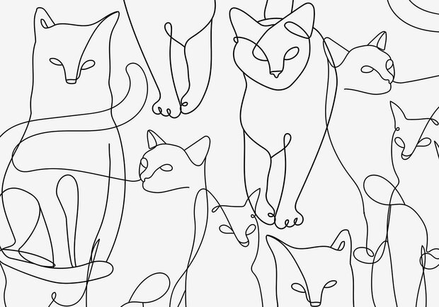 Katten behang Cat Line Art