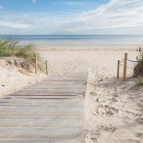 Strand fotobehang Beach Path