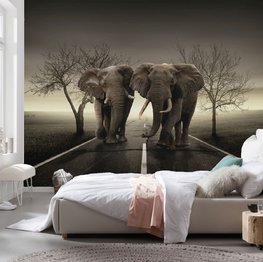 Fotobehang Elephant Highway