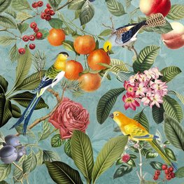 Vogel behang Berries and Birds