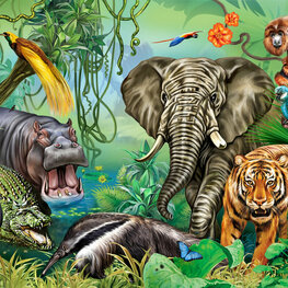 Jungledieren behang Regenwoud