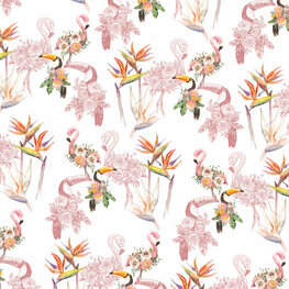 Flamingo behang Toekan
